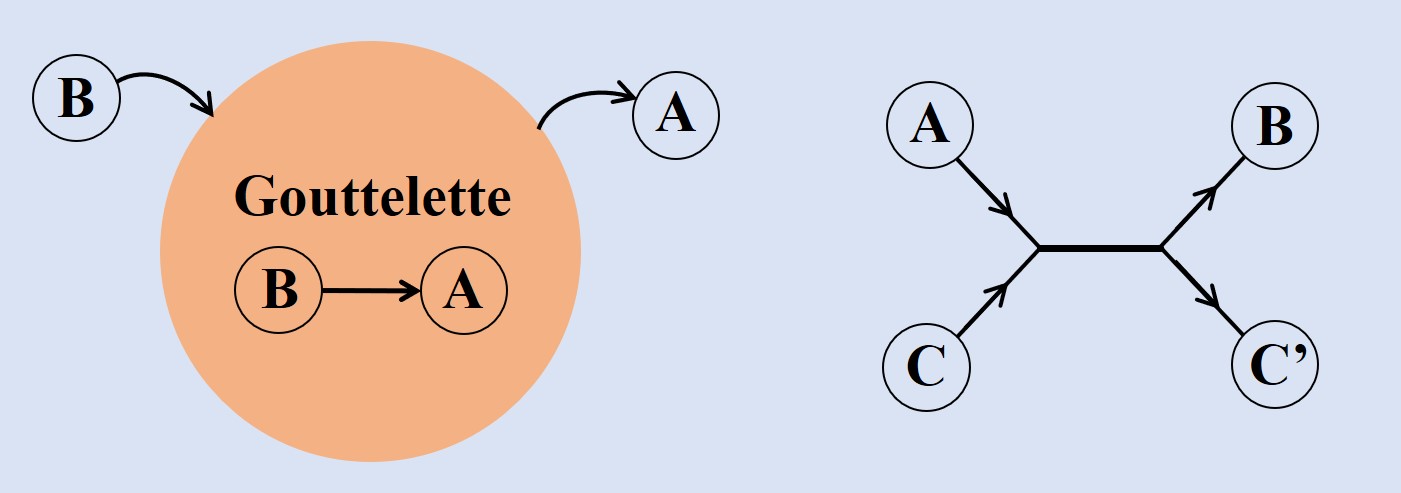 Fond bleu. Dessus, un rond rouge qui contient le texte "Gouttelette B flèche A". Sur le fond, la lettre "B" reliée par une flèche qui va vers le rond et la lettre "A" reliée par une flèche qui va du rond vers "A". À côté, les lettres A, B, C et C prime sont reliées comme suit : A et C vers B et C prime. 