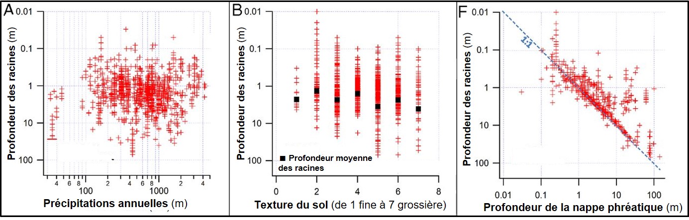 A) : nuage de points ; B) : points en histogramme ; C) : points alignés selon une droite.