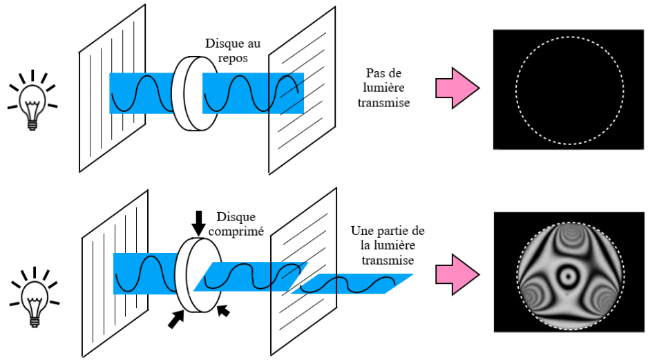 En haut, un disque entre deux plaques laisse passer la lumière sans l'altérer. L'image obtenue est un cercle noir. En bas, le disque est comprimé et le faisceau lumineux est "tourné" à angle droit. Une image est obtenue, comme une image psychédélique.