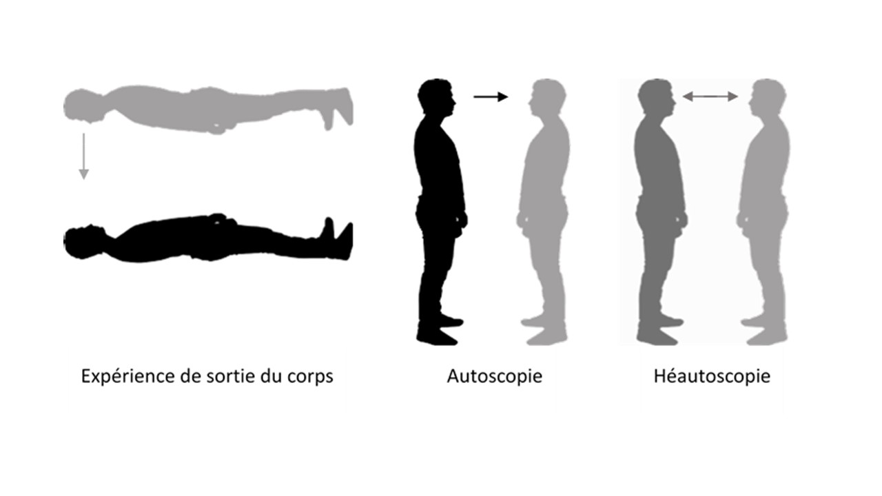 3 parties. À gauche : une silhouette en noir allongée sur le sol. Une autre silhouette en gris en miroir au dessus. Annoté : "Expérience de sortie du corps". Au milieu, une silhouette en noir debout et une autre silhouette en gris en miroir. Annoté : "Autoscopie". À droite, une silhouette en gris foncé debout et une autre silhouette en gris clair en miroir. Annoté : "Héautoscopie".