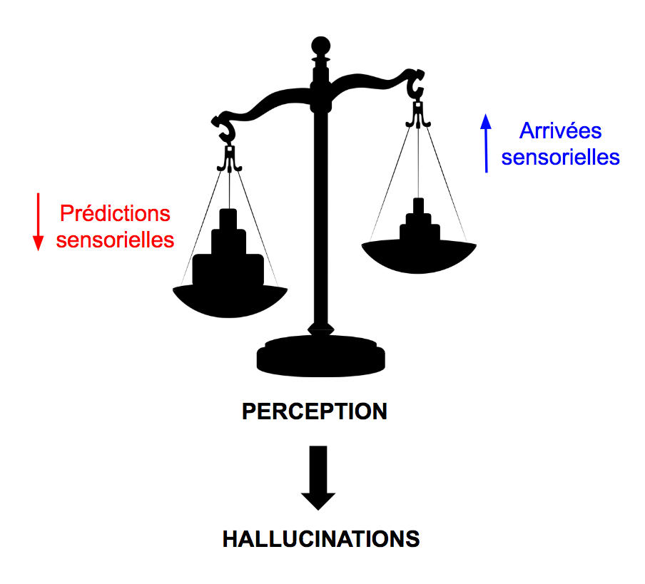 Balance où à gauche il y a les "Prédictions sensorielles" qui pèsent plus lourd que les "Arrivées sensorielles" à droite. Sous la balance le mot "Perception" avec une flèche vers "Hallucinations".