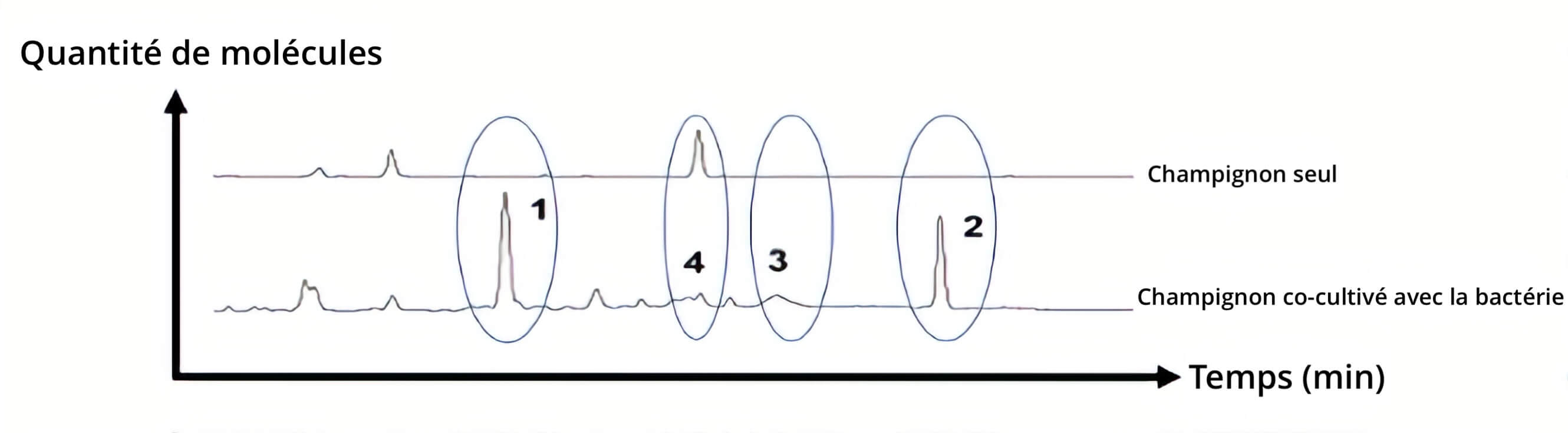 Graphique avec deux coubes à peu près horizontale qui présentent des pics à certains endroits. Description en légende.