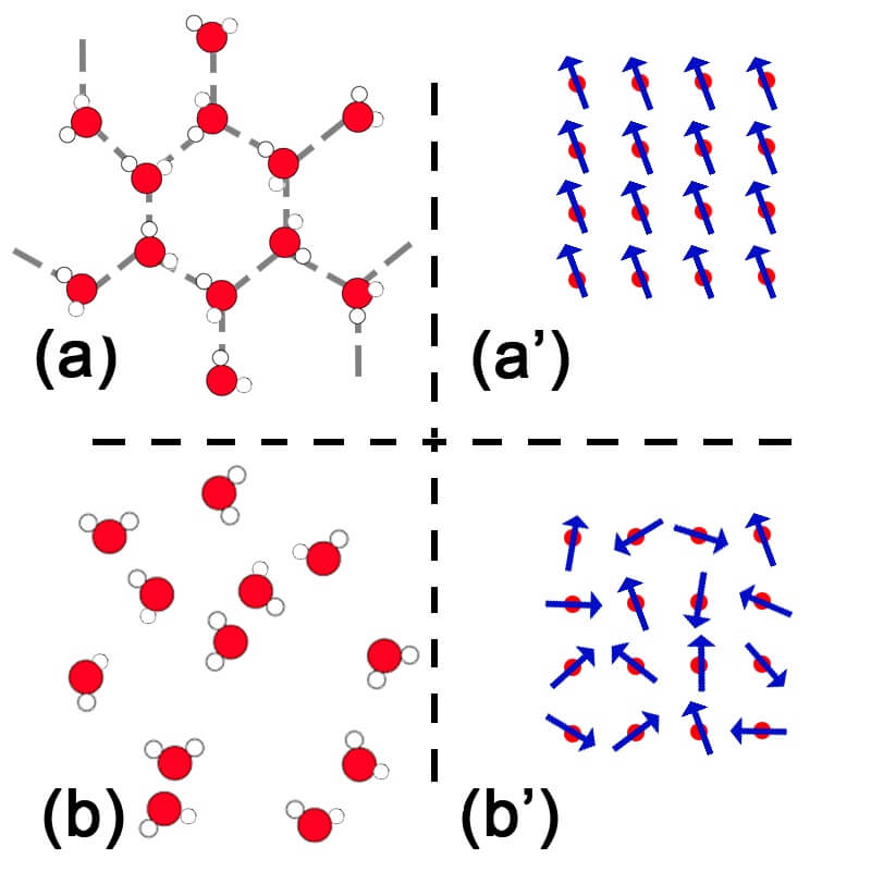 (a) Plusieurs molécules d'eau (une boule rouge entre deux petites boules blanches comme une tête de Mickey. Elles sont bien arrangées en forme d'hexagones. (b) Ces molécules sont disposées alétoirement. (a') 16 atomes représentés par un point rouge au au travers duquel passe une flèche bleue : le spin. Les points rouges de tous les spins sont alignés en 4 par 4. Toutes les flèches de tous les spins sont dirigés dans la même direction et dnas le même sens. (b') Les 16 points rouges sont au même endroit, mais les flèches vont dans plein de directions et sens différents. 