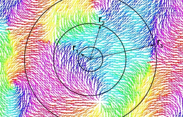 Multitude de petits spins et donc de petites flèches, dont la couleur dépend de la direction et du sens. Cela forme une image avec plusieurs zones de couleur. Par dessus, trois cercles concentriques de rayon r1, r2 et r3 du plus petit au plus grand.