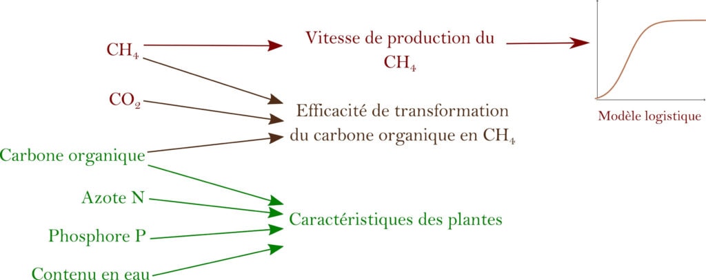 (brute, rouge) CH4 donne paramètre "vitesse de production du CH4". CH4 et (brute, rouge) CO2 et (brut vert) Carbone organique donne paramètre "Efficacité de transformation du carbone organique en CH4". Carbone organique et 3 autres données brutes vertes azote, phosphore et contenu en eau donnent le paramètre "Caractéristiques des plantes". 