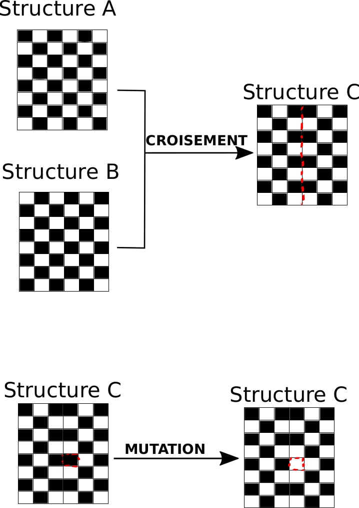 En haut. Un damier noir et blanc de 6 colonnes est la structure A. Ce même damier inversé (noir en blanc et blanc en noir) est la structure B. Après croisement, on obtient une structure C où les 3 colonnes de gauche sont celles de A et les 3 de droites celles de B. En bas. Cette structure C subit une mutation : une seule des cases noires devient blanche.