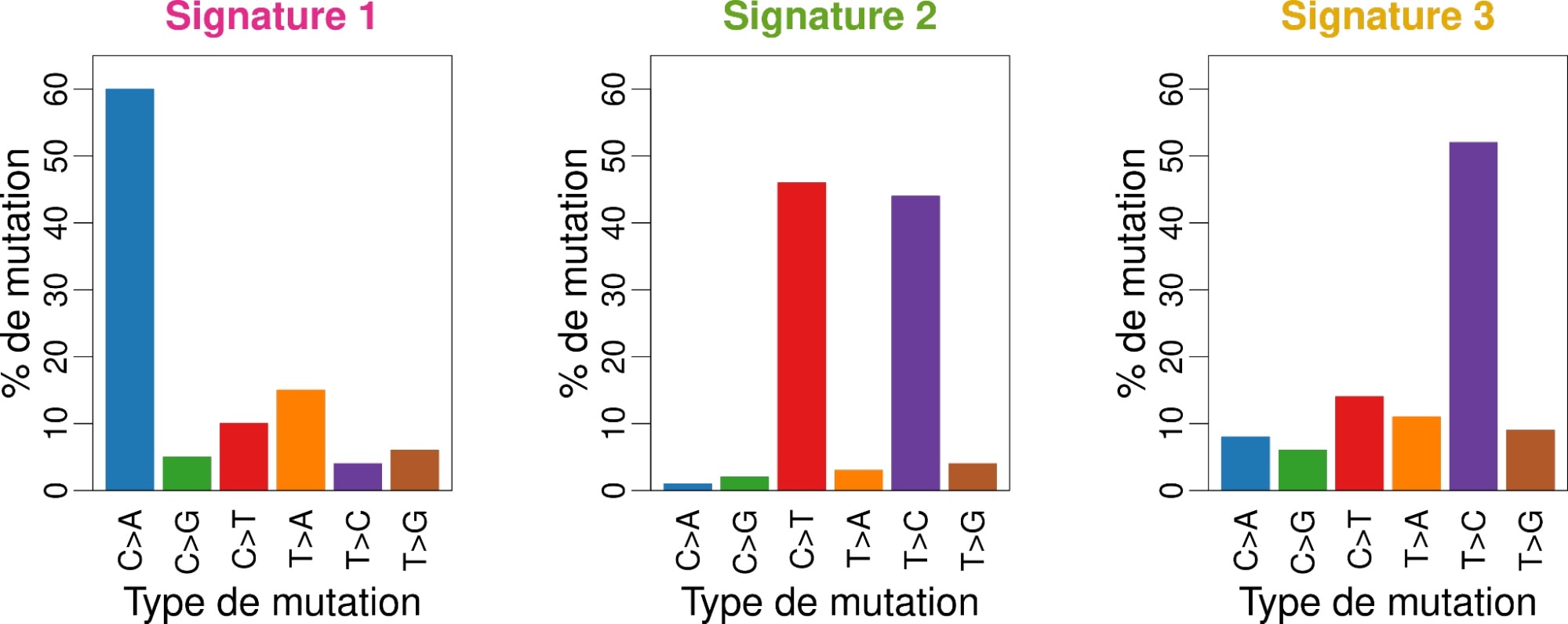 3 différents histogrammes (diagrammes en barres verticales) où les barres sont plus ou moins hautes en fonction du type de mutation.