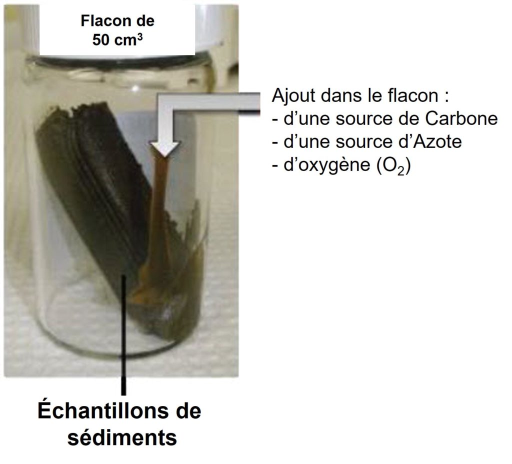 Photo d’un flacon transparent de 50 centimètres cubes contenant un morceau de sédiment de couleur noir. Il est indiqué que le flacon contient une source de carbone, une source d’azote et de l’oxygène.