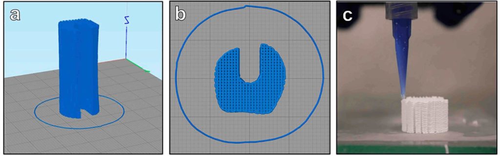 La figure est divisée en 3 panels notés a, b et c de gauche à droite. L'image "a" représente, sur un quadrillage, le plateau d'impression 3D de l'implant modélisé. Sur ce quadrillage, la partie principale de l'implant est représentée en bleu, entourée d'un cercle bleu. L'image "b" représente la même chose que l'image "a" mais l'implant est vu du dessus. L'image "c" représente l'implant en cours d'impression par l'imprimante 3D.