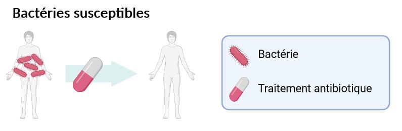 Image intitulée "Bactérie susceptibles". Elle présente deux corps humains reliés par une flèche surmontée d'une pilule (traitement antibiotique). Le premier corps humain est couvert d'ovales rouges (bactéries) tandis que le second en est dépourvu.
