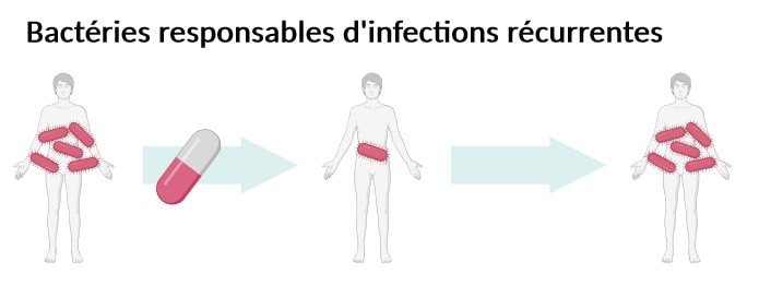 Image intitulée "Bactérie responsables d'infections récurrentes". Même image que la Figure 1 sauf que le premier corps humain est couvert de 5 ovales rouges, le deuxième d'un seul ovale et qu'une flèche mène vers un troisième corps recouvert de 5 ovales rouges.
