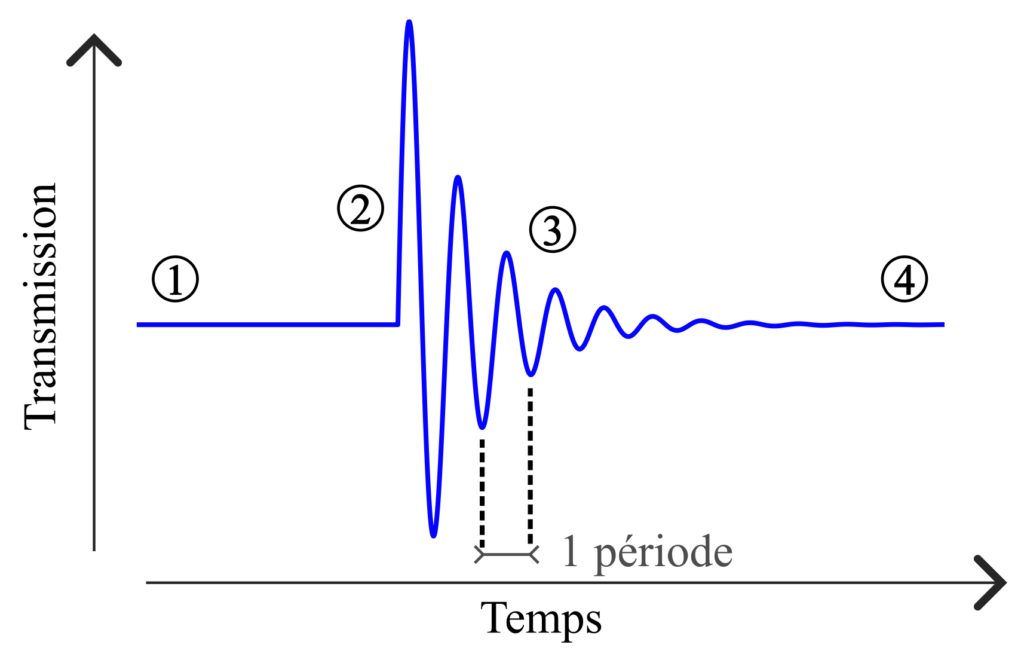 En bas se trouve une flèche orientée depuis la gauche vers la droite, légendée “temps”. À gauche, il y a une flèche orientée vers le haut, légendée “transmission”. Sur ce graphique se trouve une courbe bleue. De gauche à droite, en partant de temps = 0 : en 1 la courbe est complètement horizontale, pour une valeur d’environ la moitié de l’axe transmission. En 2 la courbe commence à faire des pics/oscillations en alternant haut puis bas, etc. Les oscillations sont de moins en moins importantes en transmission au niveau du 3 avant de redevenir une ligne horizontale en 4. Deux segments pointillés indiquent deux minima successifs (= pic vers le bas). Une double flèche relie ces deux segments, annotée “1 période”.