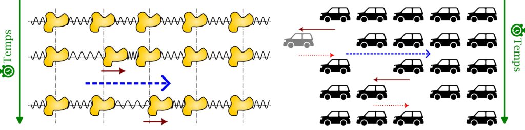 La figure est composée de deux images similaires à la Figure 2. Sur la première, il y a trois chaînes de même longueur. Chacune des chaînes est composée de cinq éléments jaunes identiques, de forme patatoïde, attachés par des ressorts. Les trois chaînes sont les unes sous les autres de telles manières que les n-ièmes éléments de chaque chaîne sont alignés verticalement. Pour la première chaîne, tous les éléments sont espacés périodiquement, c’est-à-dire avec la même distance. Sur la deuxième chaîne, le deuxième élément est avancé vers la droite. Le ressort entre le premier et le deuxième élément est tendu tandis que celui entre le deuxième et le troisième élément est comprimé. Sur la troisième chaîne, l’élément avancé vers la droite est le troisième élément. Les ressorts avant et après cet élément sont respectivement tendu et comprimé. Des flèches allant de la gauche vers la droite sont sous les éléments décalés. Une flèche horizontale et orientée vers la droite met en évidence que l’on retrouve sur les chaînes deux et trois le même motif de décalage mais lui aussi décalé vers la droite. La deuxième image est composée de cinq lignes horizontales, chacune est composée de voitures identiques. Sur la première ligne, cinq voitures sont présentes espacées périodiquement. Sur la deuxième ligne, seule la première voiture à gauche est avancée vers la gauche et grisée pour indiquer son départ. Les quatres autres voitures sont alignées verticalement avec les quatre dernières voitures de la première ligne. Sur la troisième ligne, il n’y a plus que trois voitures. La première est alignée verticalement avec la première voiture de la première ligne. Il y a un espace vide à la place de la seconde voiture puis les trois autres. Les lignes quatre et cinq sont similaires. Sur la quatrième ligne, l’espace vide est à la place de la troisième voiture tandis qu’il est la place de la quatrième voiture sur la cinquième ligne.